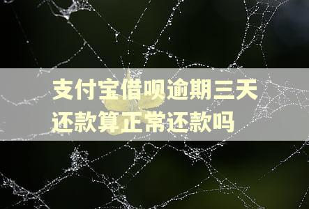 支付宝借呗逾期三天还款算正常还款吗