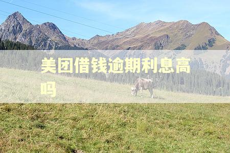 美团借钱逾期利息高吗