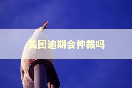 美团逾期会仲裁吗