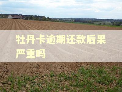 牡丹卡逾期还款后果严重吗 牡丹卡逾期还款后果严重吗