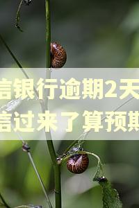 中信银行逾期2天发短信过来了算预期吗