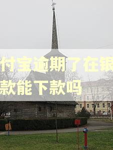 支付宝逾期了在银行贷款能下款吗