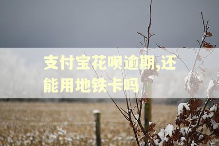 支付宝花呗逾期,还能用地铁卡吗