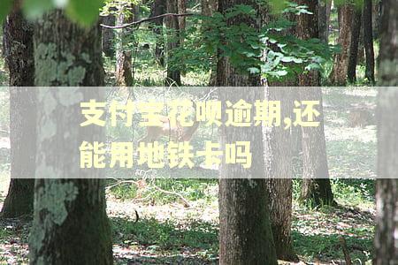 支付宝花呗逾期,还能用地铁卡吗