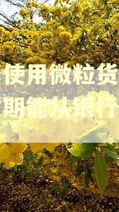 频繁使用微粒货但从未逾期能从银行贷款吗