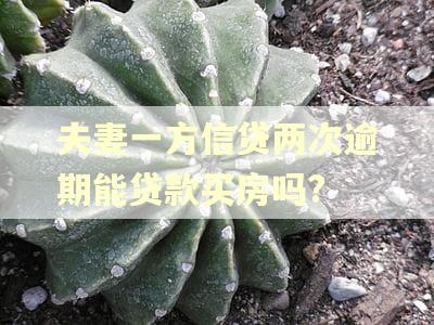 夫妻一方信贷两次逾期能贷款买房吗?