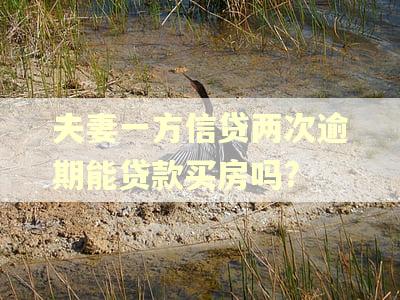 夫妻一方信贷两次逾期能贷款买房吗?