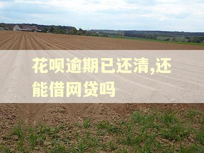 花呗逾期已还清,还能借网贷吗