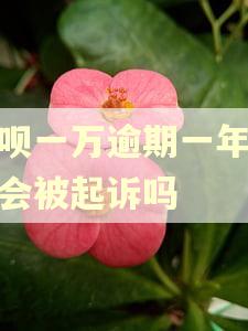 借呗一万逾期一年多了会被起诉吗