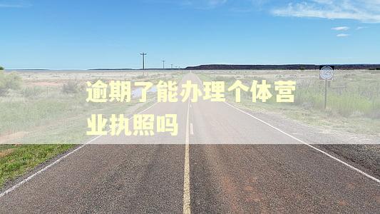 逾期了能办理个体营业执照吗