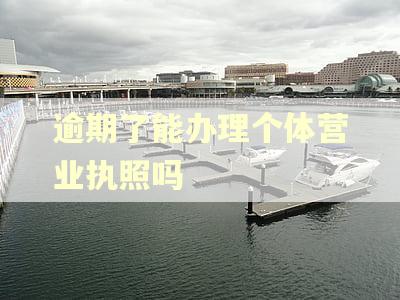 逾期了能办理个体营业执照吗