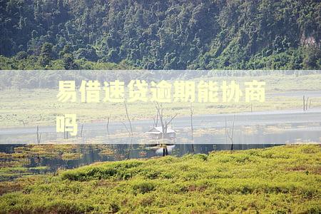 易借速贷逾期能协商吗
