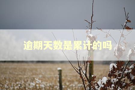 逾期天数是累计的吗