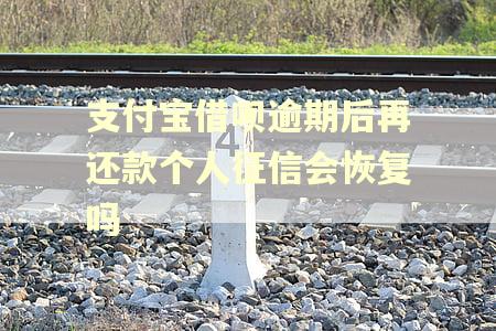 支付宝借呗逾期后再还款个人征信会恢复吗