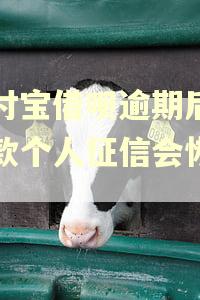 支付宝借呗逾期后再还款个人征信会恢复吗