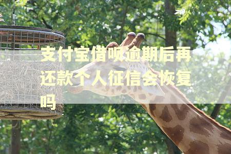 支付宝借呗逾期后再还款个人征信会恢复吗