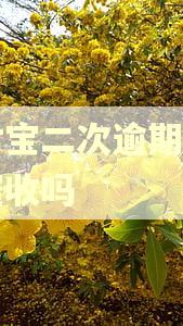支付宝二次逾期还会有催收吗