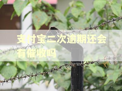 支付宝二次逾期还会有催收吗