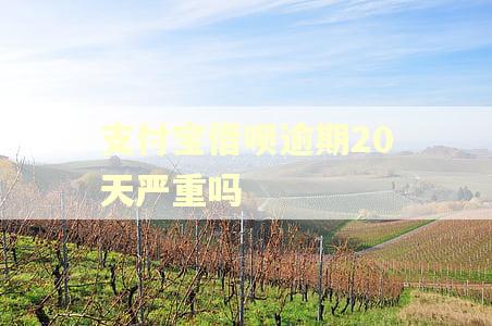 支付宝借呗逾期20天严重吗