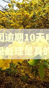美团逾期10天申请诉讼处理是真的吗