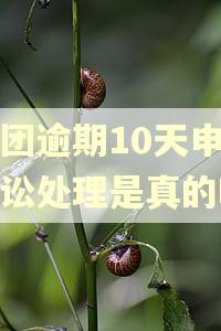 美团逾期10天申请诉讼处理是真的吗