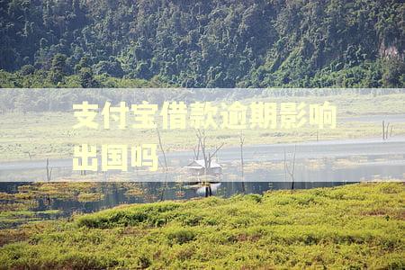 支付宝借款逾期影响出国吗 支付宝借款逾期影响出国吗