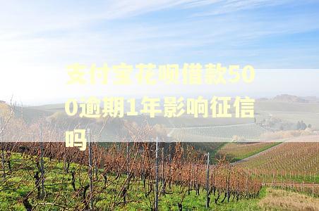 支付宝花呗借款500逾期1年影响征信吗