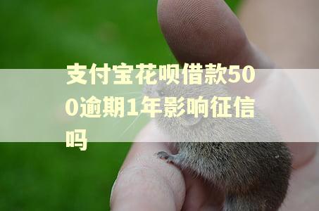 支付宝花呗借款500逾期1年影响征信吗