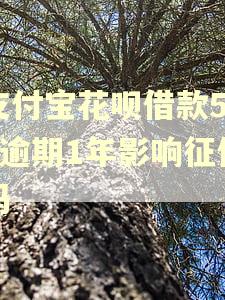 支付宝花呗借款500逾期1年影响征信吗 支付宝花呗借款500逾期1年影响征信吗