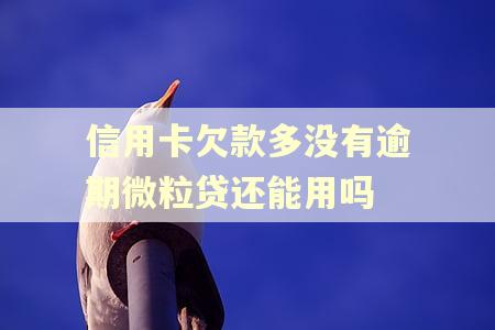 信用卡欠款多没有逾期微粒贷还能用吗 信用卡欠款多没有逾期微粒贷还能用吗