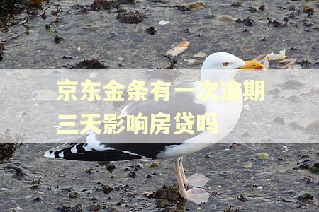 京东金条有一次逾期三天影响房贷吗