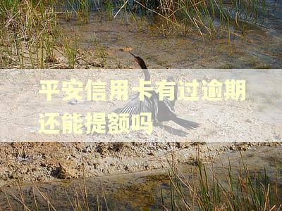 平安信用卡有过逾期还能提额吗