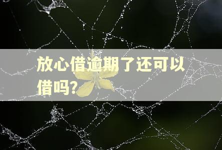 放心借逾期了还可以借吗？