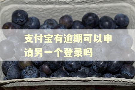 支付宝有逾期可以申请另一个登录吗