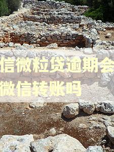 微信微粒贷逾期会限制微信转账吗
