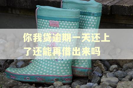 你我贷逾期一天还上了还能再借出来吗