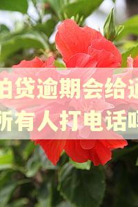拍拍贷逾期会给通讯录所有人打电话吗