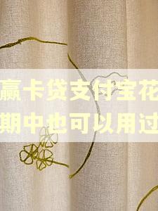 小赢卡贷支付宝花呗逾期中也可以用过吗