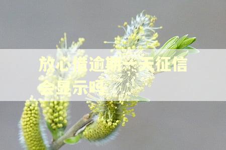 放心借逾期一天征信会显示吗