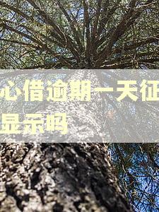 放心借逾期一天征信会显示吗 放心借逾期一天征信会显示吗