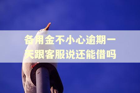 备用金不小心逾期一天跟客服说还能借吗