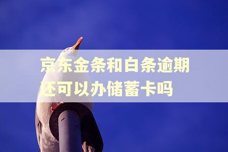 京东金条和白条逾期还可以办储蓄卡吗