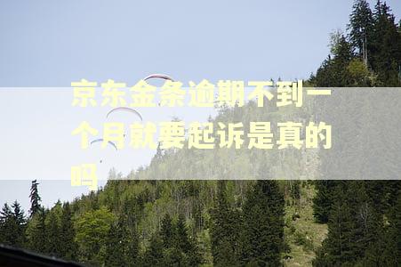 京东金条逾期不到一个月就要起诉是真的吗