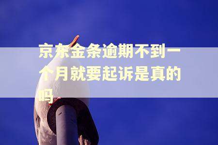 京东金条逾期不到一个月就要起诉是真的吗