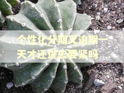 个性化分期又逾期一天才还进去要紧吗