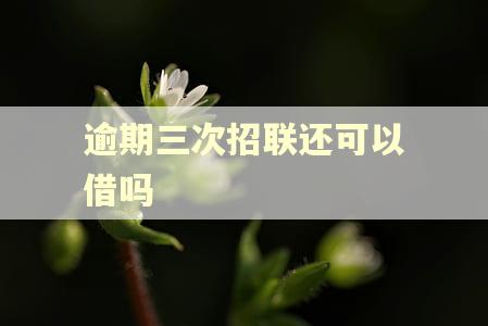 逾期三次招联还可以借吗