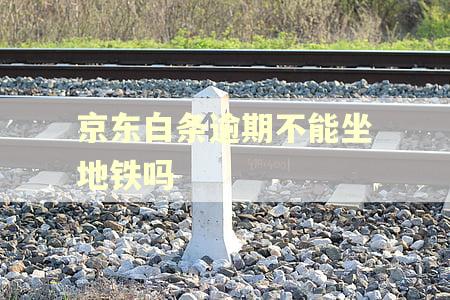 京东白条逾期不能坐地铁吗