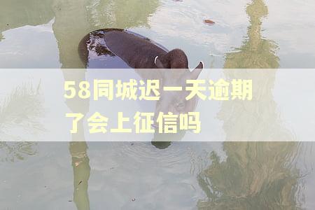 58同城迟一天逾期了会上征信吗