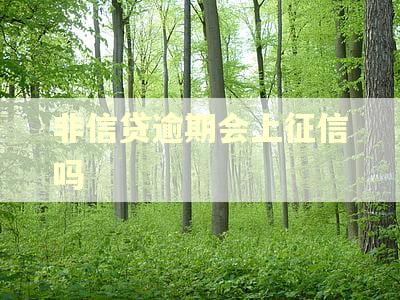 非信贷逾期会上征信吗