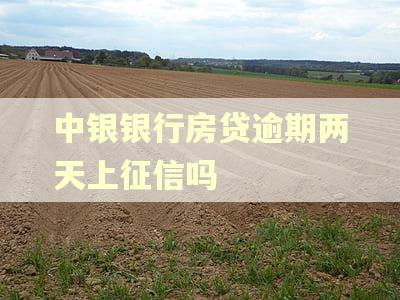 中银银行房贷逾期两天上征信吗
